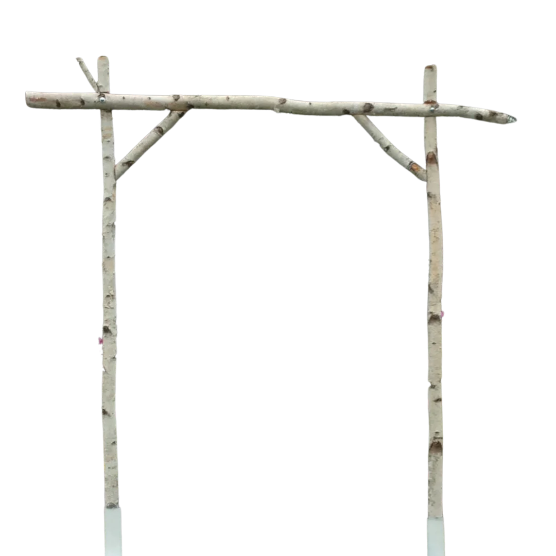 Birch Wedding Arch