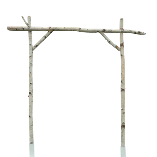 Birch Wedding Arch