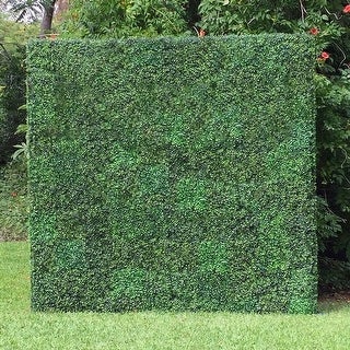 Boxwood Hedge Wall